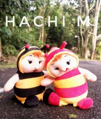Hachi-M