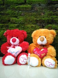 Bear Bianka