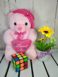 Bear Vonel M