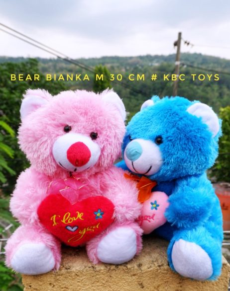 Boneka Teddy Bear Bianka M