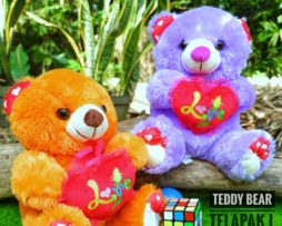 Boneka Teddy Bear Telapak L