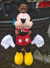 Mickey Mouse rev