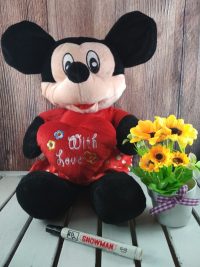 mickey love xl