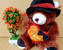bear-topi-koboy
