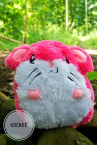 hamtaro-2