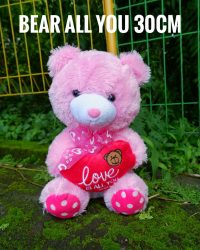 bear-all-you