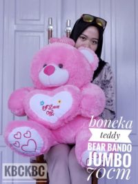 bear-bando-jumbo-3