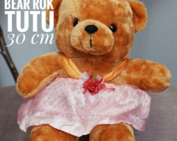 bear-rok-tutu