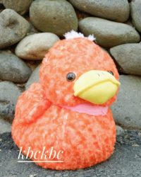 baby-duck
