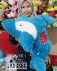 dolpin-xl-1