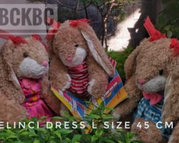 rabbit-dress