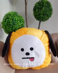 BTS-CHIMMY