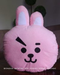 BTS-COOKY