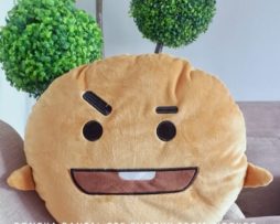 BTS-SHOOKY
