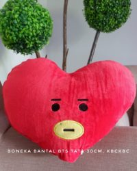 BTS-TATA