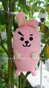 boneka-bts-COOKY