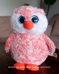 owl-hrj