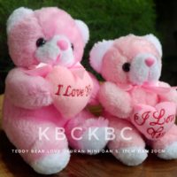 BEAR-LOVE-MINI-1
