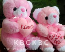 BEAR-LOVE-MINI-1