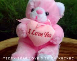 BEAR-LOVE-S
