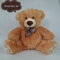 BEAR-KOMIK-L-1