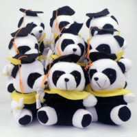 Panda-wisuda-mini2