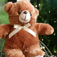 http://koleksiboneka.com/wp-content/uploads/2020/11/Bear-Pita-Size-S-coklat.jpg