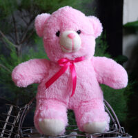 http://koleksiboneka.com/wp-content/uploads/2020/11/Bear-Pita-Size-S-pink.jpg