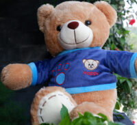 http://koleksiboneka.com/wp-content/uploads/2020/11/Teddy-Bear-Happy-Coklat.jpg