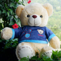 http://koleksiboneka.com/wp-content/uploads/2020/11/Teddy-Bear-Happy-Krem.jpg