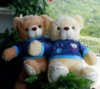 http://koleksiboneka.com/wp-content/uploads/2020/11/Teddy-Bear-Happy2.jpg