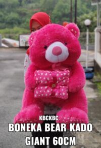 http://koleksiboneka.com/wp-content/uploads/2020/11/Teddy-Bear-kado-giant-.jpeg