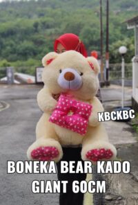 http://koleksiboneka.com/wp-content/uploads/2020/11/Teddy-Bear-kado-giant-2.jpeg