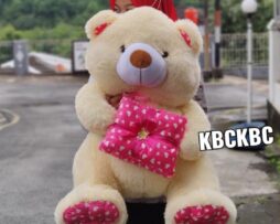 http://koleksiboneka.com/wp-content/uploads/2020/11/Teddy-Bear-kado-giant-2.jpeg