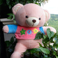 http://koleksiboneka.com/wp-content/uploads/2020/11/bear-baju-bunga.jpg