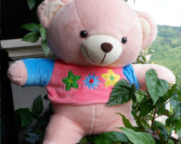 http://koleksiboneka.com/wp-content/uploads/2020/11/bear-baju-bunga.jpg