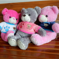 http://koleksiboneka.com/wp-content/uploads/2020/11/bear-happy.jpg