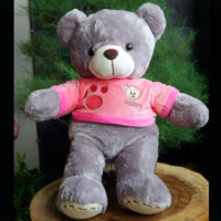 http://koleksiboneka.com/wp-content/uploads/2020/11/bear-happy-abu2.jpg