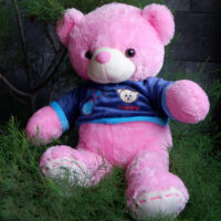 http://koleksiboneka.com/wp-content/uploads/2020/11/bear-happy-pink.jpg