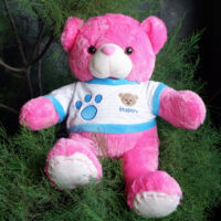 http://koleksiboneka.com/wp-content/uploads/2020/11/bear-happy-pink-fanta.jpg