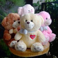 http://koleksiboneka.com/wp-content/uploads/2020/11/bear-syal-love.jpg
