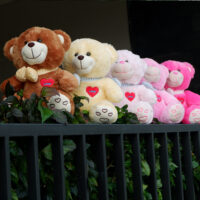 http://koleksiboneka.com/wp-content/uploads/2020/11/bear-syal-love-5-warna.jpg