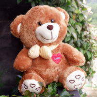 http://koleksiboneka.com/wp-content/uploads/2020/11/bear-syal-love-coklat.jpg