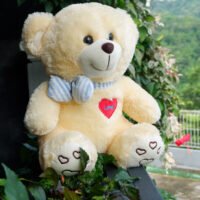 http://koleksiboneka.com/wp-content/uploads/2020/11/bear-syal-love-krem.jpg