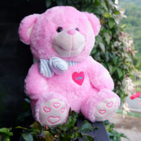 http://koleksiboneka.com/wp-content/uploads/2020/11/bear-syal-love-pink.jpg