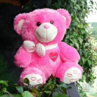 http://koleksiboneka.com/wp-content/uploads/2020/11/bear-syal-love-pink-FANTA.jpg