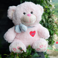 http://koleksiboneka.com/wp-content/uploads/2020/11/bear-syal-love-pink-Soft.jpg