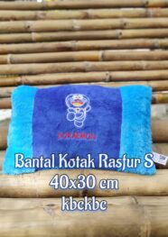 BANTAL-RASFUR-S-DORAEMON