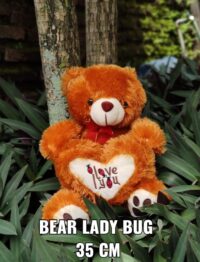 LADY-BUG-COKLAT